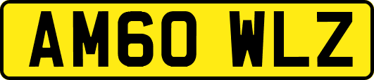 AM60WLZ