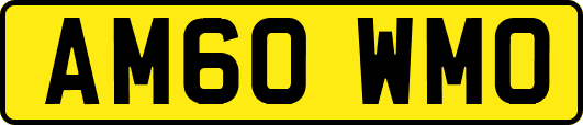 AM60WMO