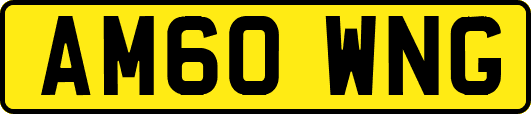 AM60WNG