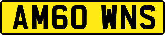 AM60WNS