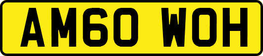 AM60WOH