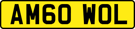 AM60WOL