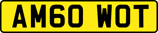 AM60WOT