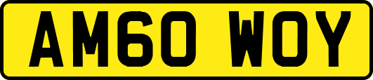AM60WOY