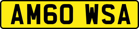 AM60WSA