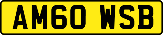AM60WSB