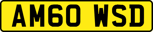 AM60WSD