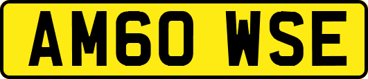 AM60WSE