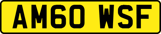 AM60WSF