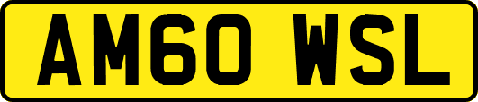 AM60WSL
