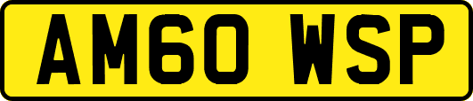 AM60WSP