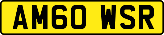 AM60WSR