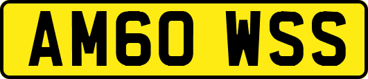 AM60WSS