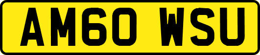 AM60WSU