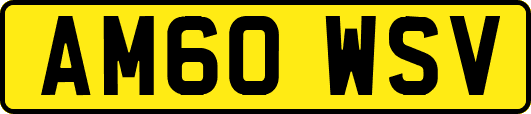 AM60WSV