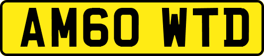 AM60WTD
