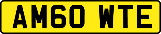 AM60WTE