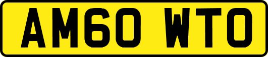 AM60WTO