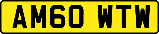 AM60WTW