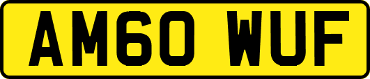 AM60WUF