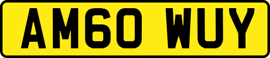 AM60WUY
