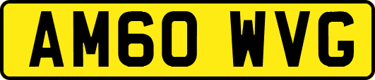 AM60WVG
