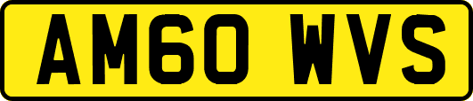 AM60WVS