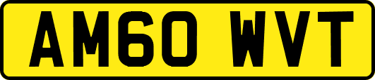 AM60WVT
