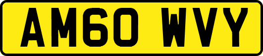 AM60WVY