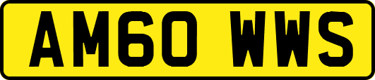 AM60WWS