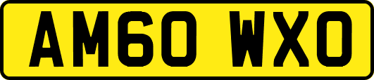 AM60WXO