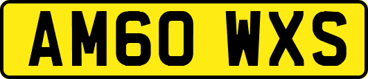 AM60WXS