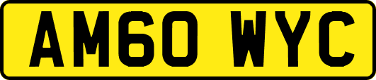 AM60WYC