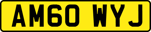 AM60WYJ