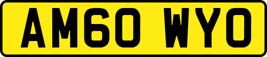 AM60WYO