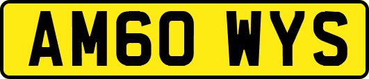 AM60WYS