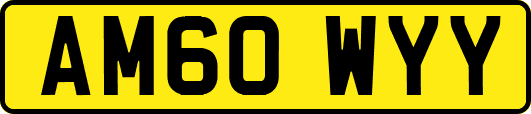 AM60WYY