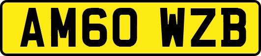 AM60WZB