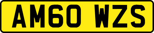 AM60WZS