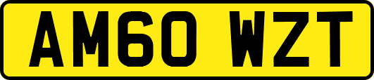 AM60WZT