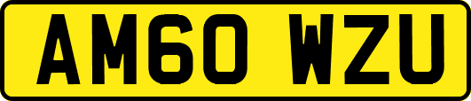 AM60WZU