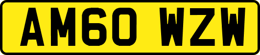 AM60WZW