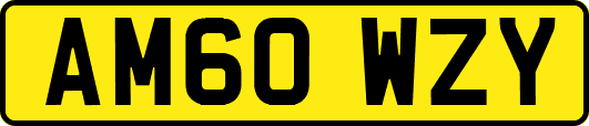 AM60WZY