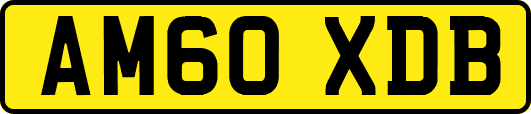 AM60XDB