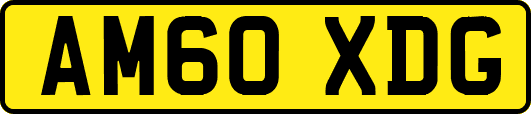 AM60XDG