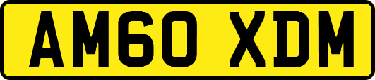 AM60XDM