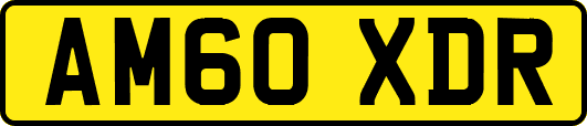 AM60XDR