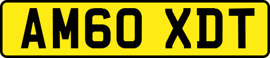 AM60XDT