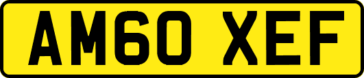 AM60XEF