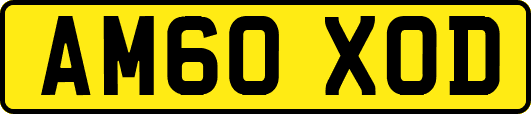 AM60XOD